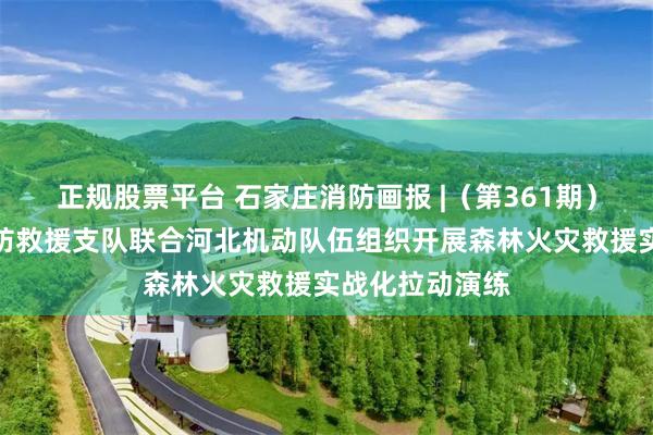 正规股票平台 石家庄消防画报 |（第361期）：石家庄市消防救援支队联合河北机动队伍组织开展森林火灾救援实战化拉动演练