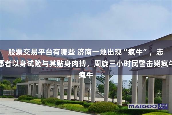 股票交易平台有哪些 济南一地出现“疯牛”，志愿者以身试险与其贴身肉搏，周旋三小时民警击毙疯牛