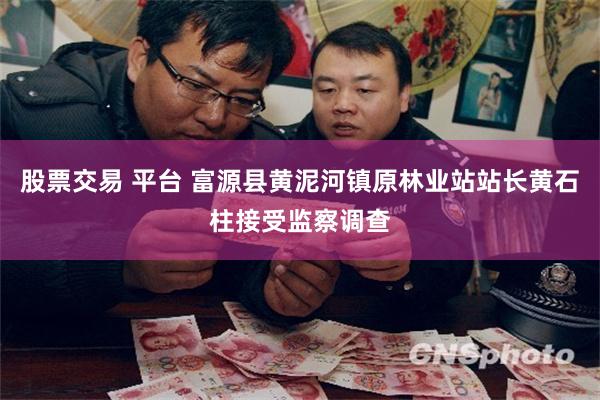 股票交易 平台 富源县黄泥河镇原林业站站长黄石柱接受监察调查