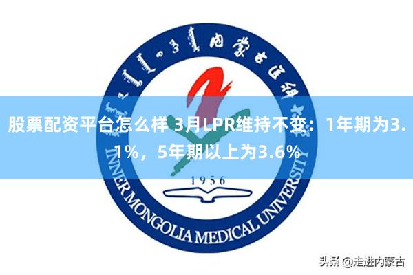 股票配资平台怎么样 3月LPR维持不变：1年期为3.1%，5年期以上为3.6%