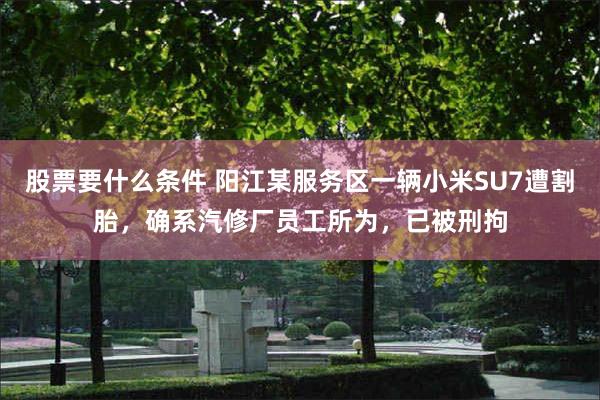 股票要什么条件 阳江某服务区一辆小米SU7遭割胎，确系汽修厂员工所为，已被刑拘