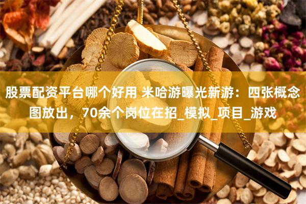 股票配资平台哪个好用 米哈游曝光新游：四张概念图放出，70余个岗位在招_模拟_项目_游戏