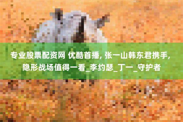专业股票配资网 优酷首播, 张一山韩东君携手, 隐形战场值得一看_李约瑟_丁一_守护者