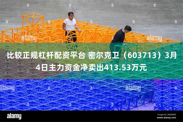 比较正规杠杆配资平台 密尔克卫（603713）3月4日主力资金净卖出413.53万元