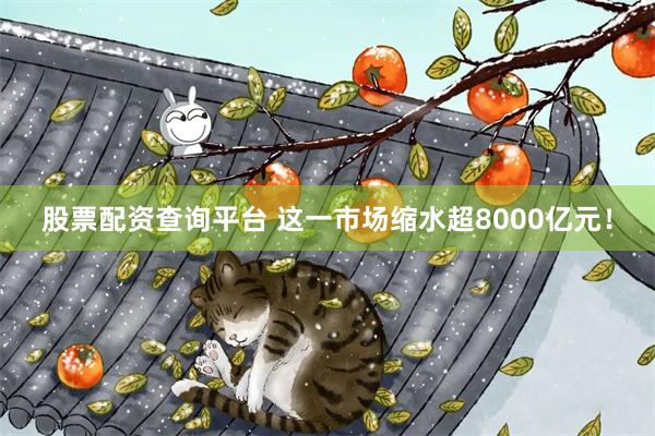 股票配资查询平台 这一市场缩水超8000亿元！