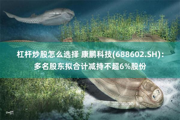 杠杆炒股怎么选择 康鹏科技(688602.SH)：多名股东拟合计减持不超6%股份