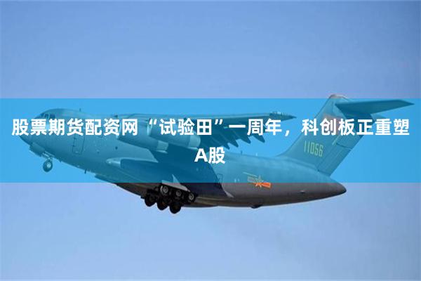股票期货配资网 “试验田”一周年，科创板正重塑A股