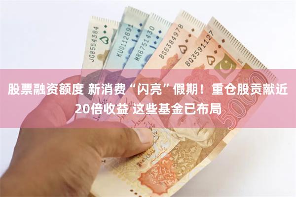 股票融资额度 新消费“闪亮”假期！重仓股贡献近20倍收益 这些基金已布局