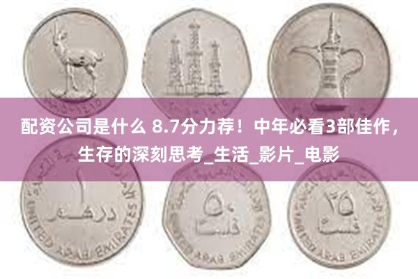 配资公司是什么 8.7分力荐！中年必看3部佳作，生存的深刻思考_生活_影片_电影
