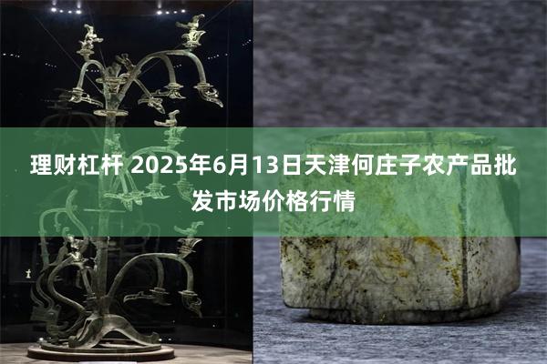 理财杠杆 2025年6月13日天津何庄子农产品批发市场价格行情