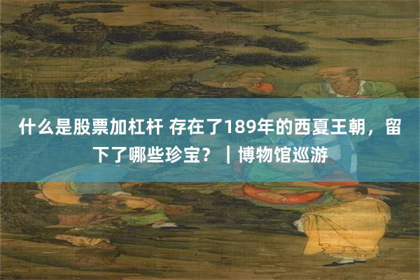 什么是股票加杠杆 存在了189年的西夏王朝，留下了哪些珍宝？｜博物馆巡游