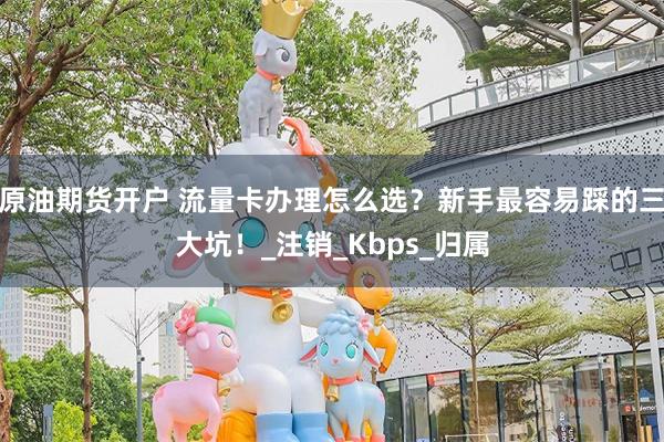 原油期货开户 流量卡办理怎么选？新手最容易踩的三大坑！_注销_Kbps_归属