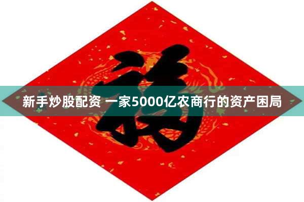 新手炒股配资 一家5000亿农商行的资产困局