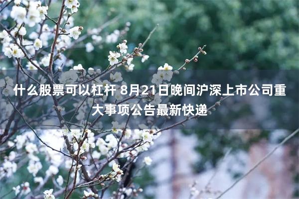 什么股票可以杠杆 8月21日晚间沪深上市公司重大事项公告最新快递