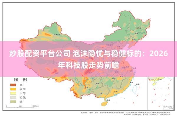 炒股配资平台公司 泡沫隐忧与稳健标的：2026年科技股走势前瞻